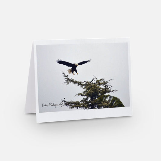 Eagle card for eagle lover greeting card eagle landing card bald eagle gift for eagle lover