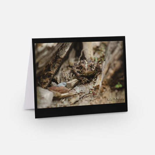 Frog card for card lover toad card for reptile lover card for him card for her blank greeting card