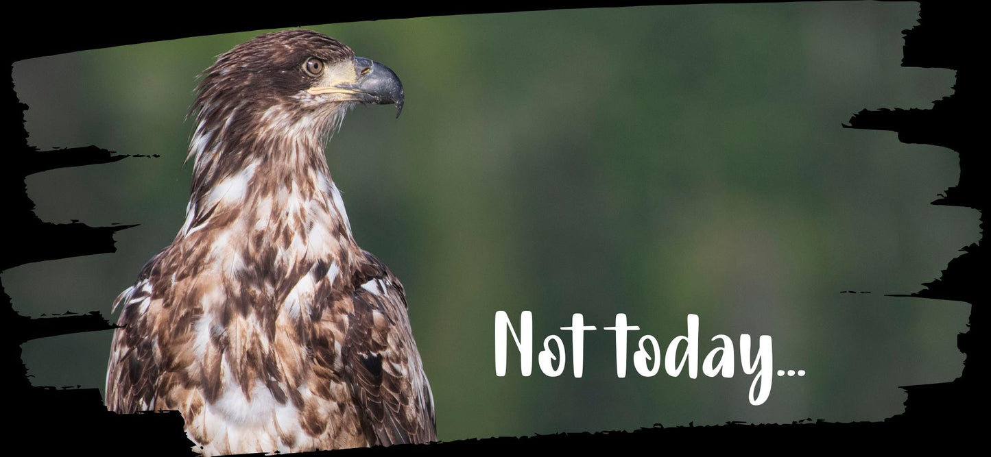 Bald Eagle Reusable Canvas Tote Bag Gift for Birthday Present for Her Him Them Christmas Stocking Stuffer Friendsgiving Not Today Juvenile