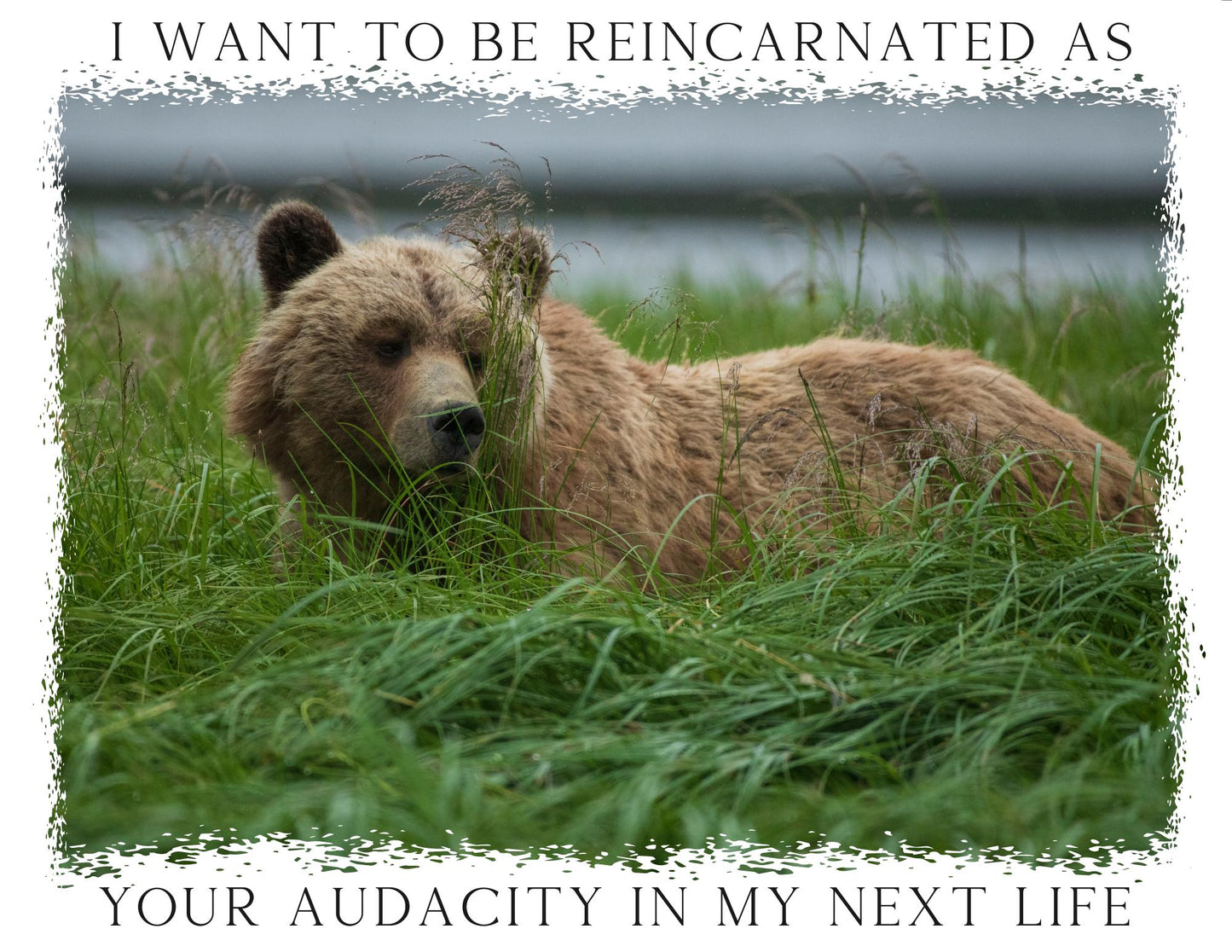 Tote Bag Canvas Grizzly Bear I want to be reincarnated as your Audacity in my next life gift for her christmas present for him friendsgiving