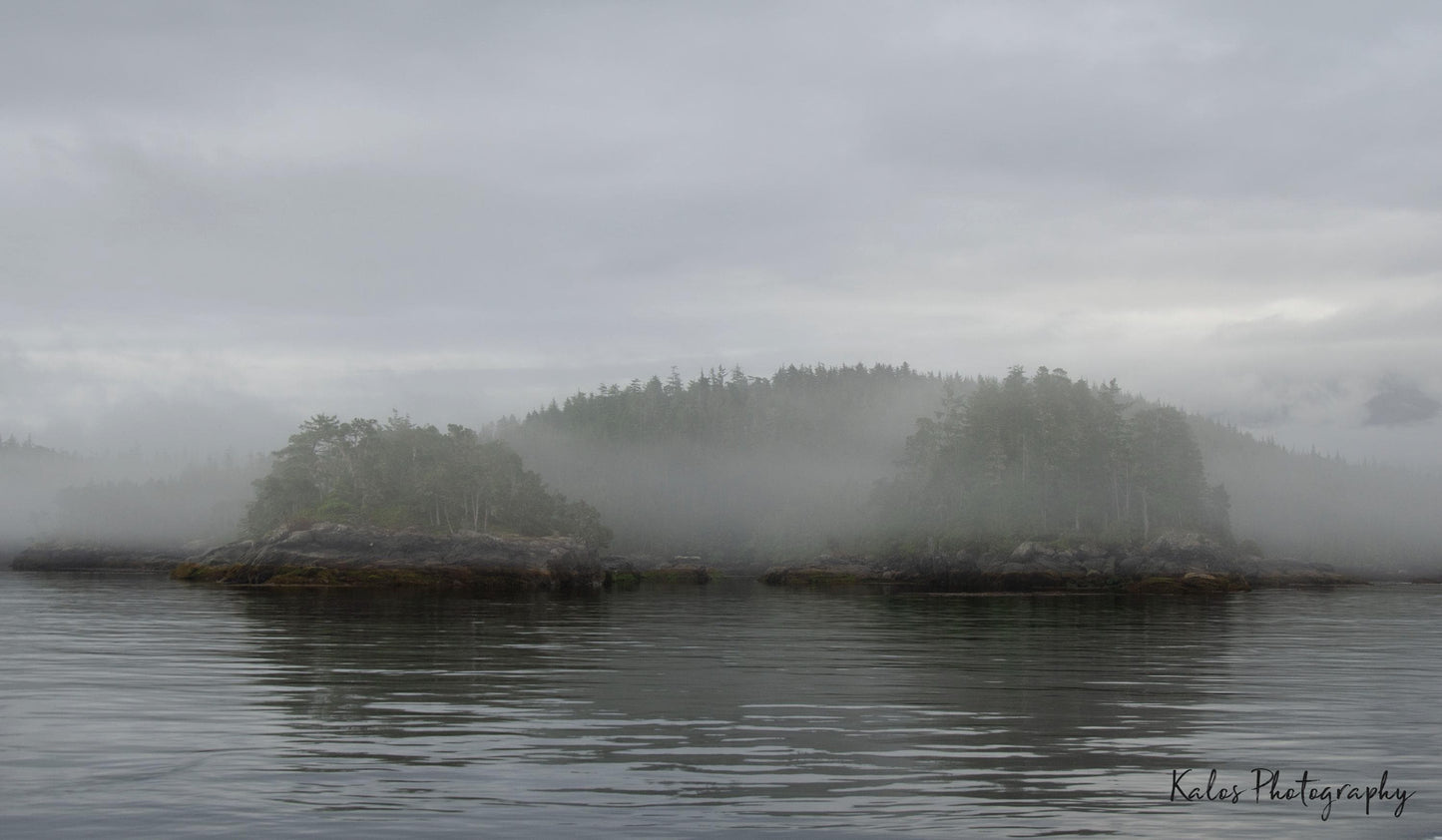 Canvas Print Wall Art 16"x24" two islands foggy scenery water trees