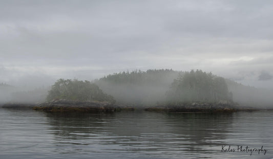 Canvas Print Wall Art 16"x24" two islands foggy scenery water trees