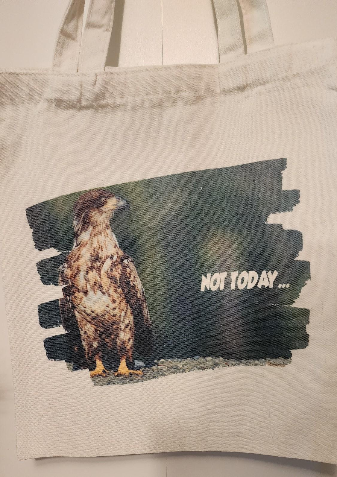 Bald Eagle Reusable Canvas Tote Bag Gift for Birthday Present for Her Him Them Christmas Stocking Stuffer Friendsgiving Not Today Juvenile